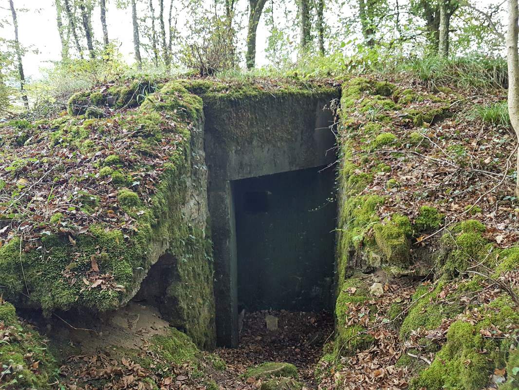 Ligne Maginot - BB9 - (Blockhaus pour arme infanterie) - Entrée - Ellena-Cuny