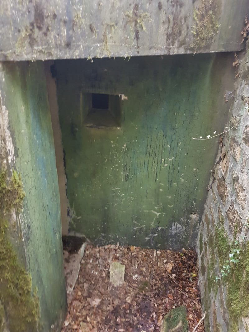Ligne Maginot - BB9 - (Blockhaus pour arme infanterie) - L'entrée - ELLENA - CUNY