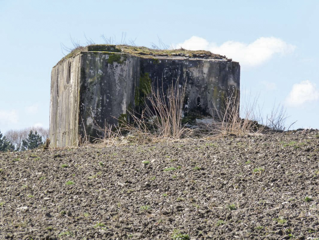 Ligne Maginot - AB350 - ROSSELN - (Blockhaus pour arme infanterie) - Le blockhaus de loin. - Sylvie Laure LAMBERT