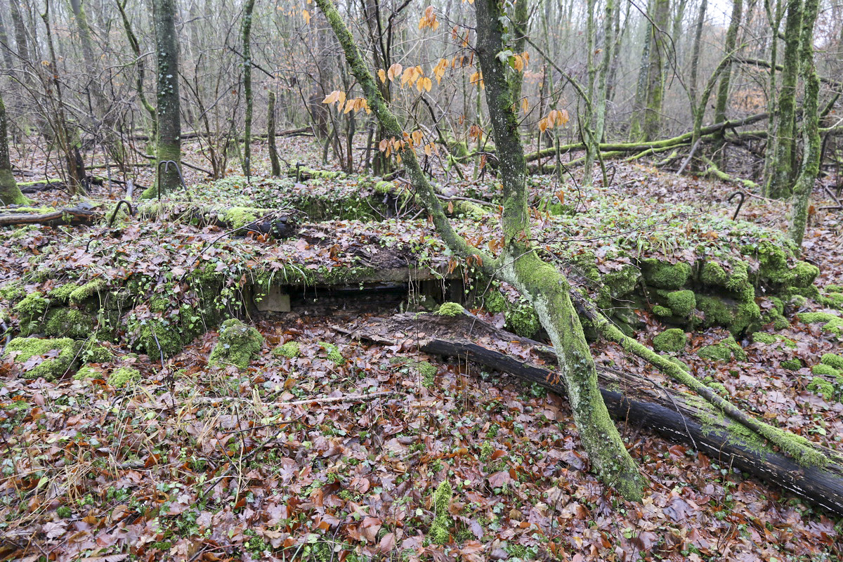 Ligne Maginot - MEDERCHEN NORD 2 - (Blockhaus pour arme infanterie) - Le créneau - Alain Perouffe