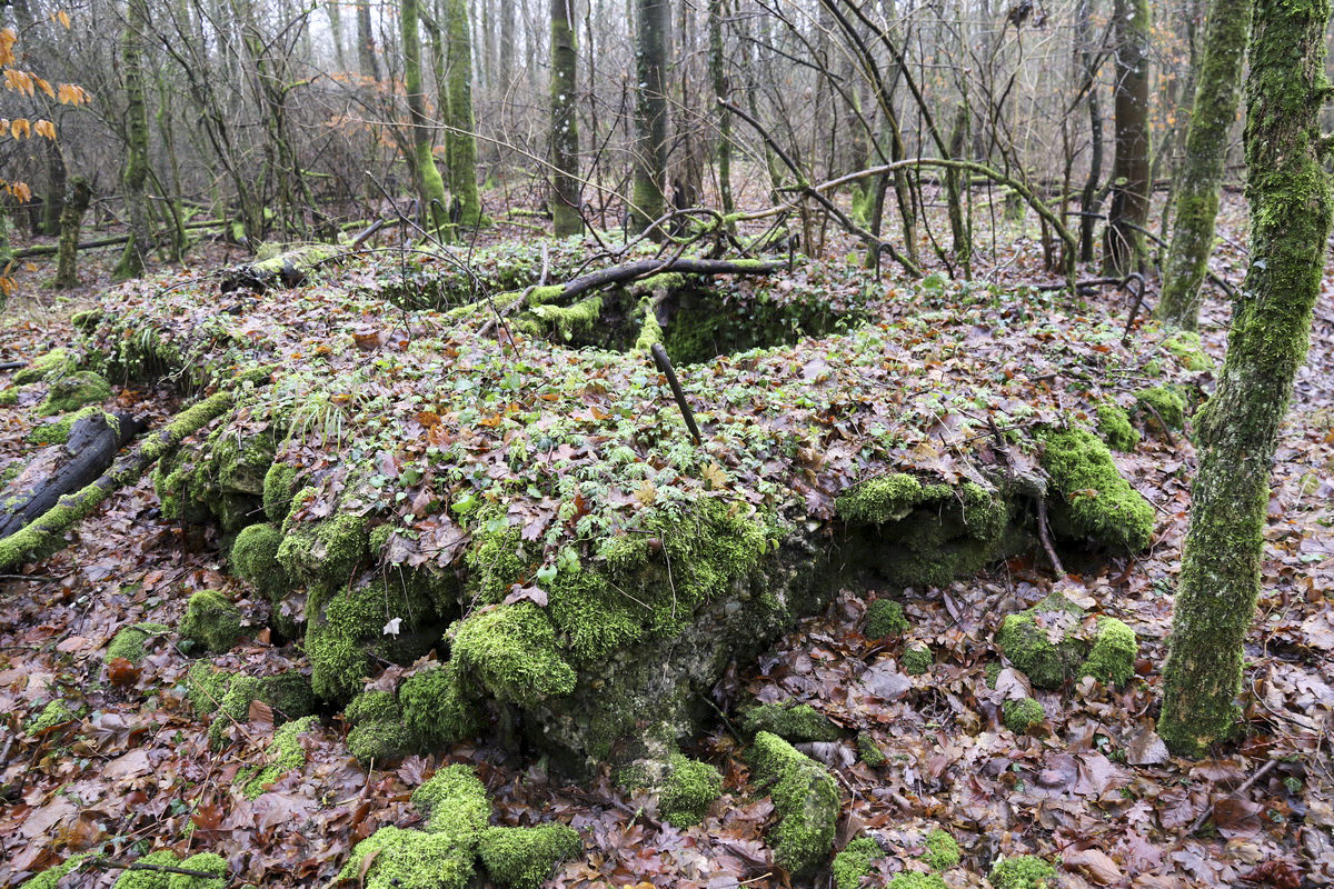 Ligne Maginot - MEDERCHEN NORD 2 - (Blockhaus pour arme infanterie) -  - Alain Perouffe