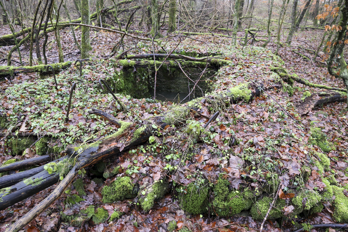 Ligne Maginot - MEDERCHEN NORD 2 - (Blockhaus pour arme infanterie) -  - Alain Perouffe
