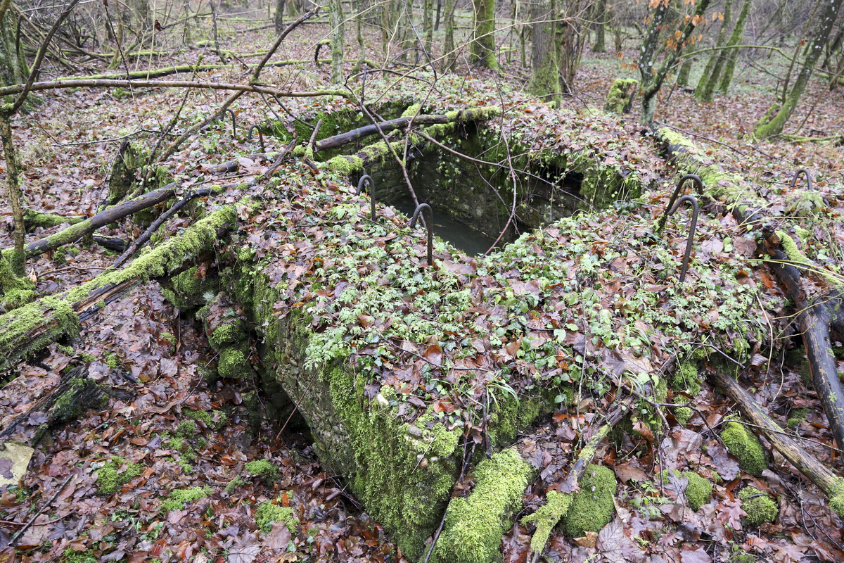 Ligne Maginot - MEDERCHEN NORD 2 - (Blockhaus pour arme infanterie) - Face arrière avec les deux entrées - Alain Perouffe