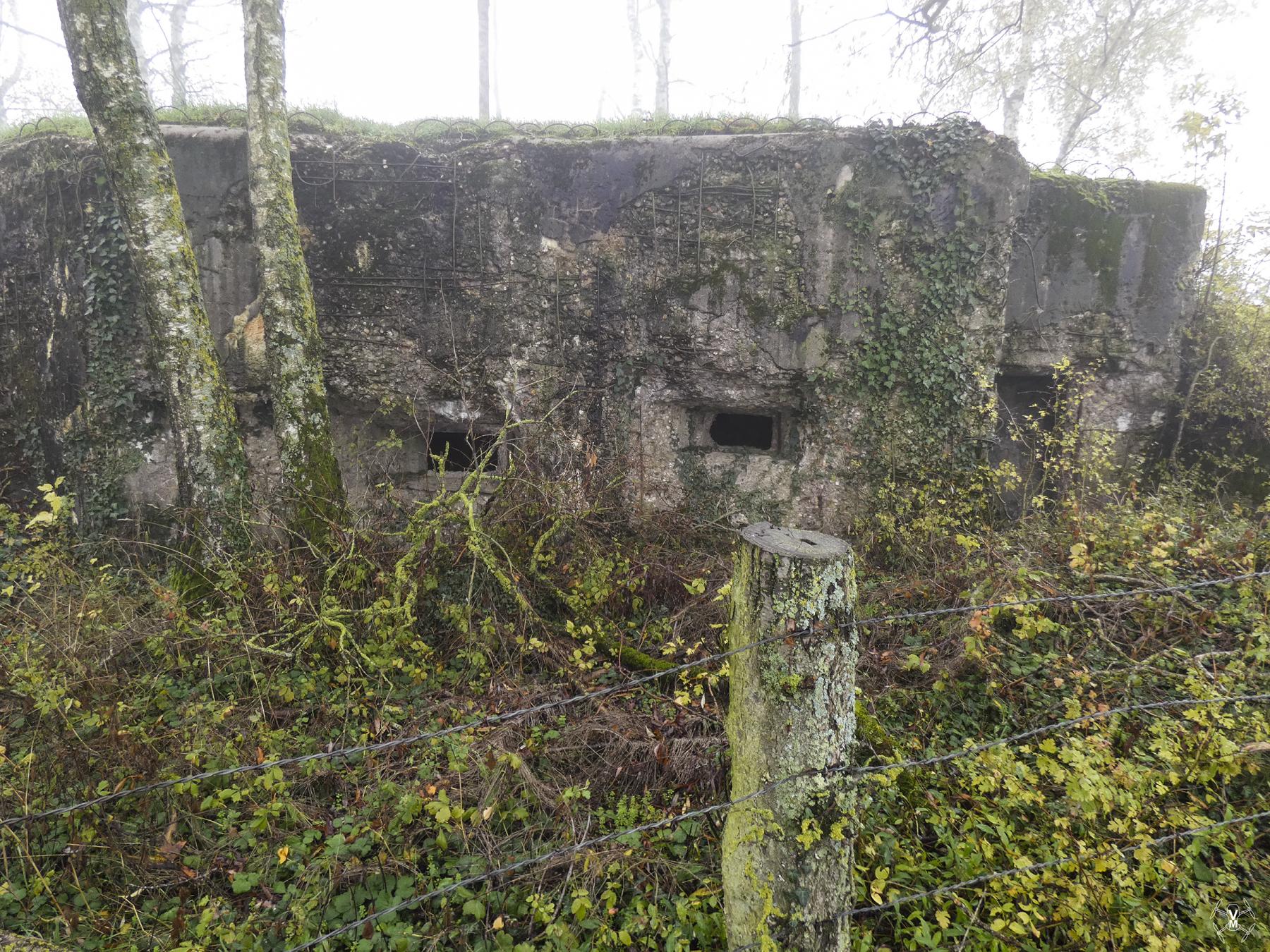 Ligne Maginot - BB21 - (Blockhaus pour canon) -  - Vincent Vermeulen