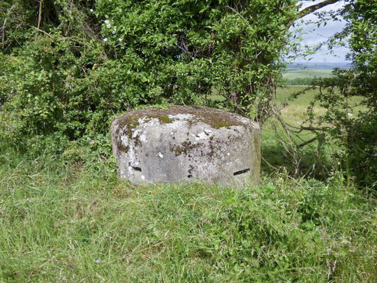 Ligne Maginot - Bb22-C - MUEHLENWEG Ouest (Observatoire d'infanterie) -  - AALMA - www.lignemaginot.com