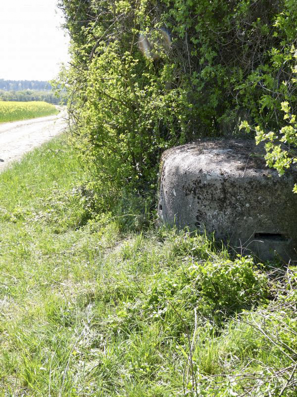 Ligne Maginot - BB22-C - MUEHLENWEG OUEST - (Observatoire d'infanterie) -  - Sylvie Laure LAMBERT