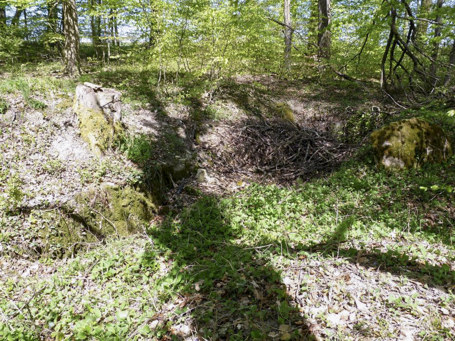 Ligne Maginot - BB21-E - GRESSES WALD - (PC) - Ce qui subsiste de la première alvéole - Sylvie Laure LAMBERT