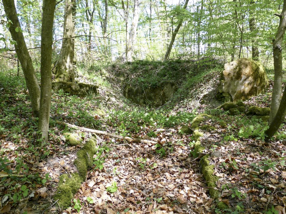 Ligne Maginot - BB21-E - GRESSES WALD - (PC) - Ce qui subsiste de la seconde alvéole - Sylvie Laure LAMBERT
