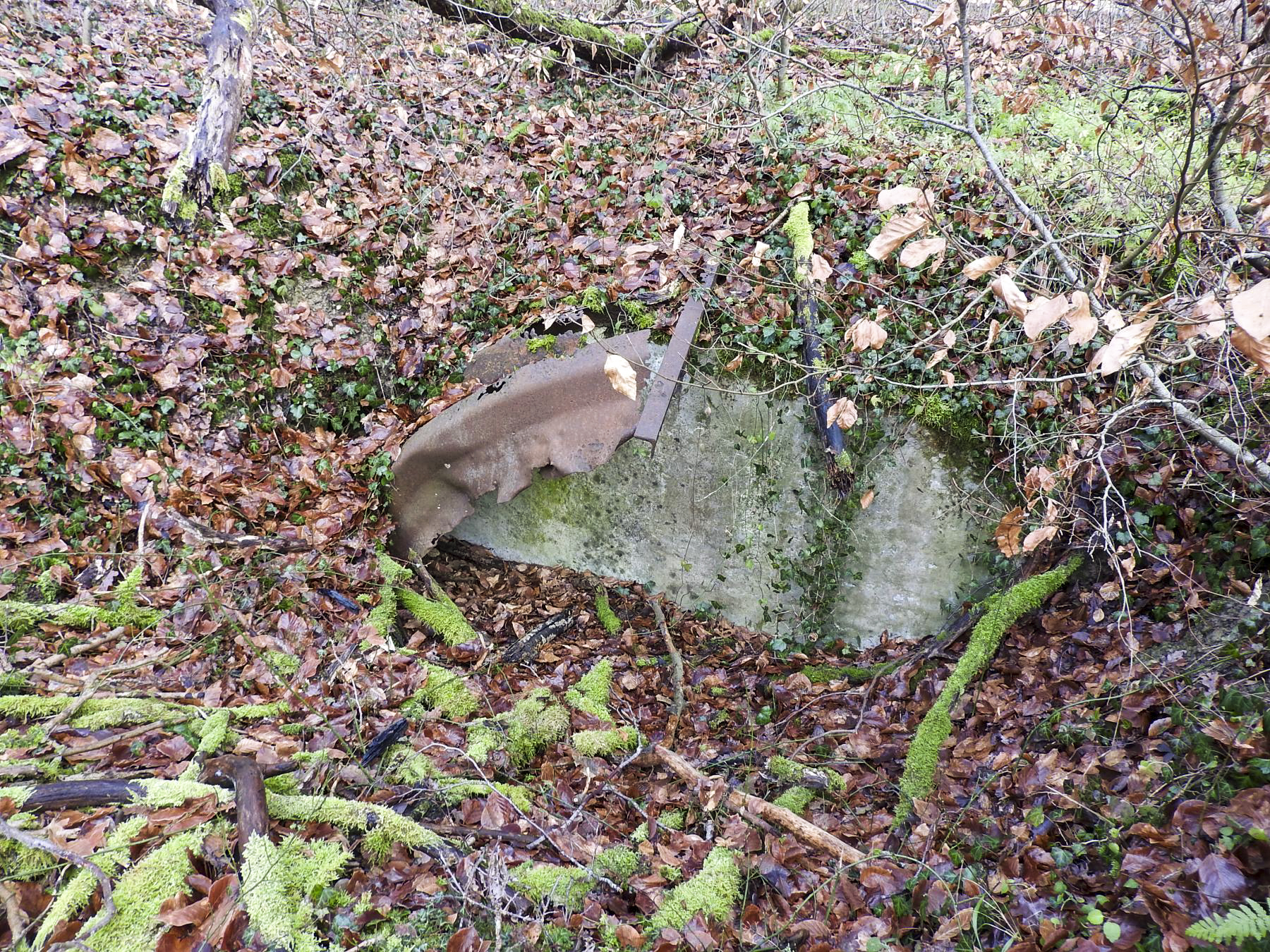 Ligne Maginot - BB21-E - GRESSES WALD - (PC) - Les restes d'une alvéole. - STENGER Mathieu