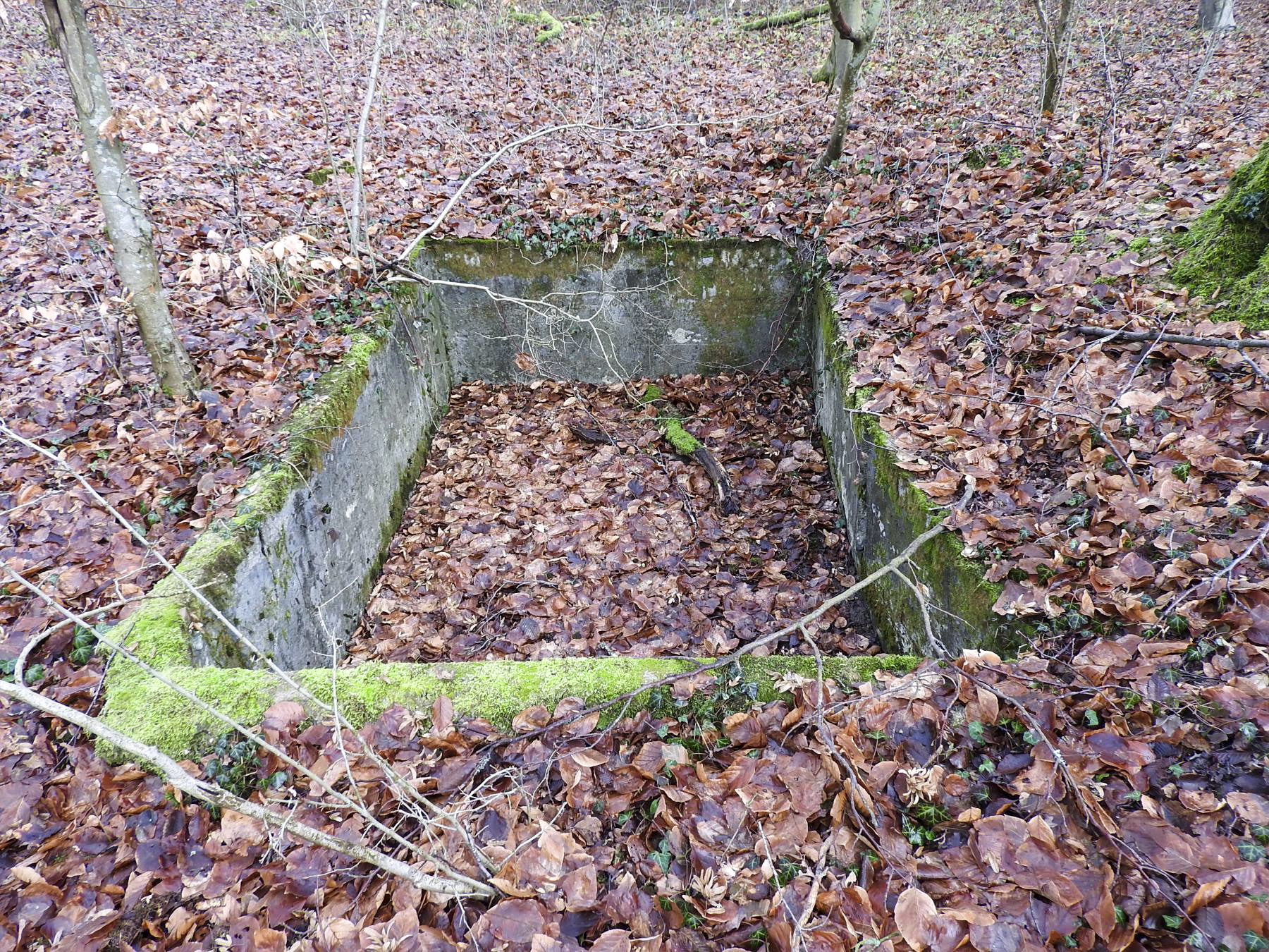 Ligne Maginot - BB21-E - GRESSES WALD - (PC) - Une cuve en béton à proximité. - STENGER Mathieu
