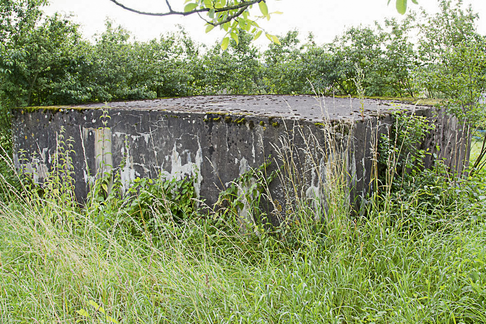 Ligne Maginot - CB74 - CIMETIERE DE SENTZICH - (Blockhaus pour arme infanterie) - Vue arrière du bloc - Michel Teiten