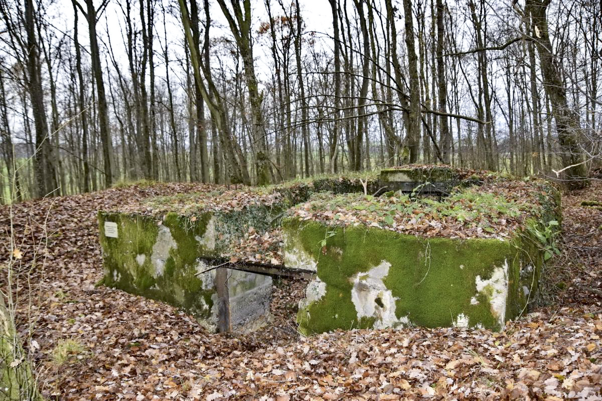 Ligne Maginot - CB224 - BOIS DE CATTENOM 06 - (Blockhaus pour canon) - L'entrée des munitions et du matériel. avec un créneau de défense rapprochée au-dessus. - D.Froehly