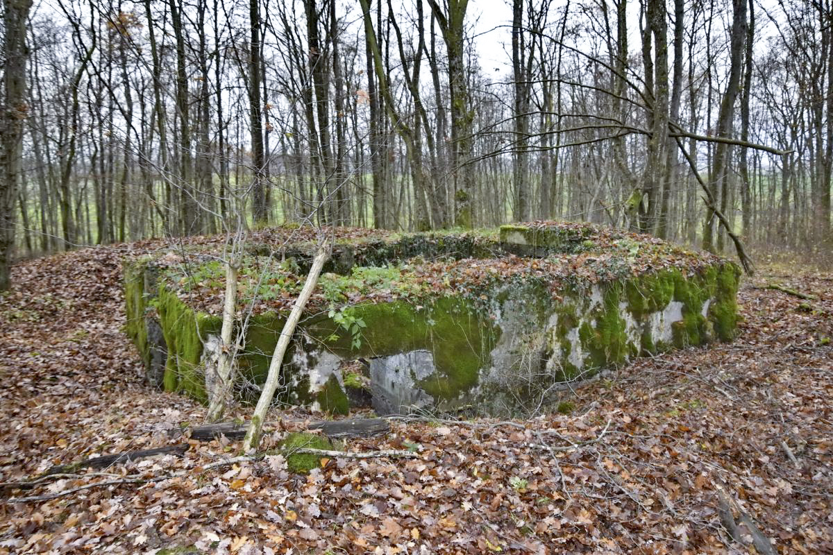 Ligne Maginot - CB224 - BOIS DE CATTENOM 06 - (Blockhaus pour canon) - Coté entrée des hommes - D.Froehly