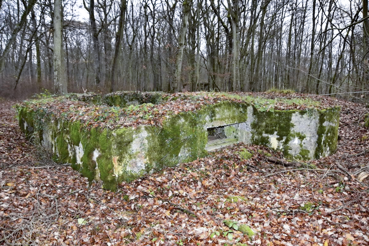 Ligne Maginot - CB224 - BOIS DE CATTENOM 06 - (Blockhaus pour canon) - Coté créneau de tir - D.Froehly