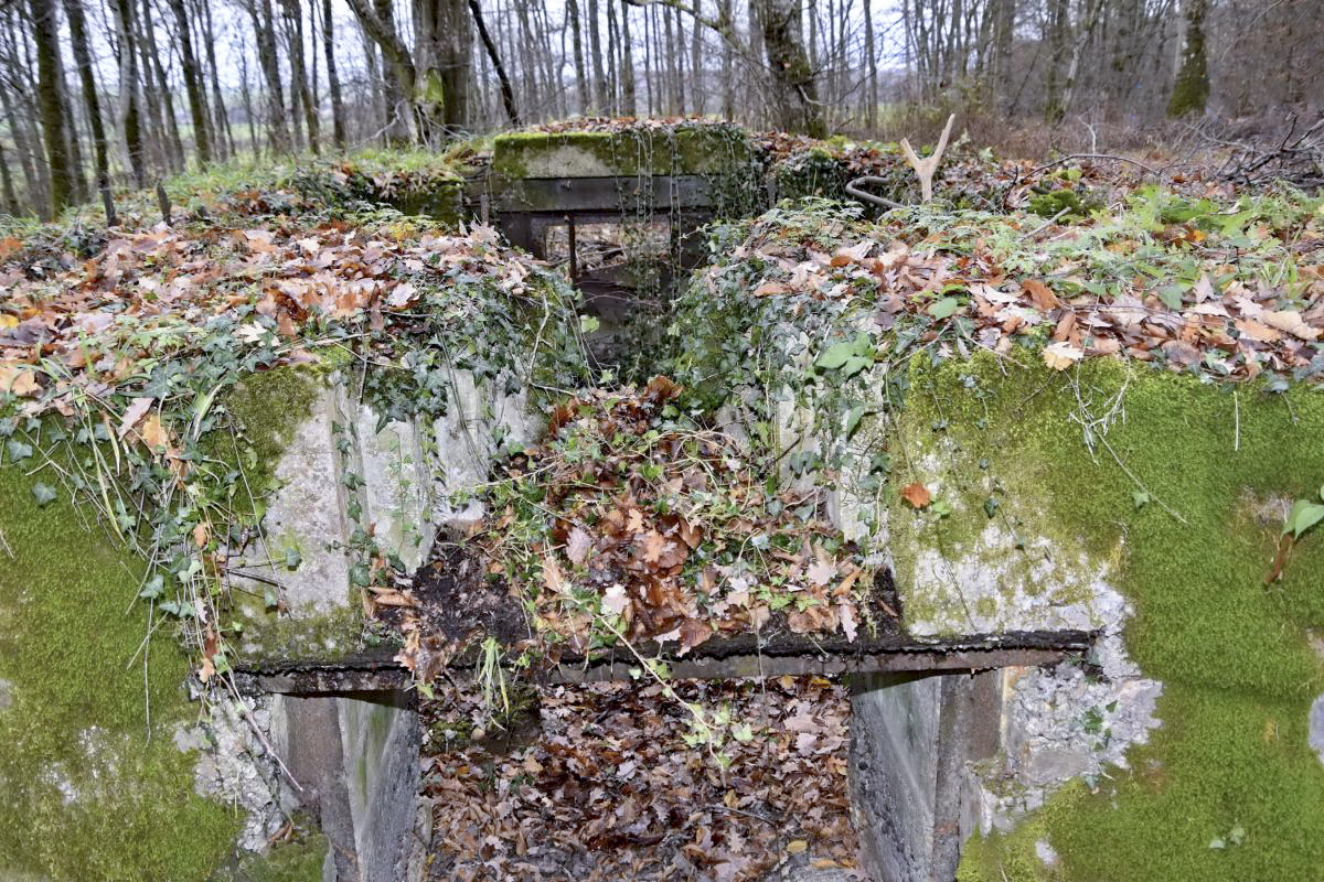 Ligne Maginot - CB224 - BOIS DE CATTENOM 06 - (Blockhaus pour canon) - Vue extérieur du créneau de défense rapprochée. - D.Froehly