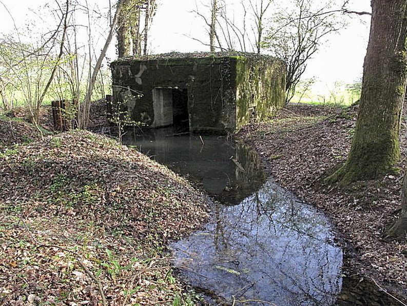 Ligne Maginot - DALEM EST - (Blockhaus pour canon) -  - Sylvie Laure LAMBERT