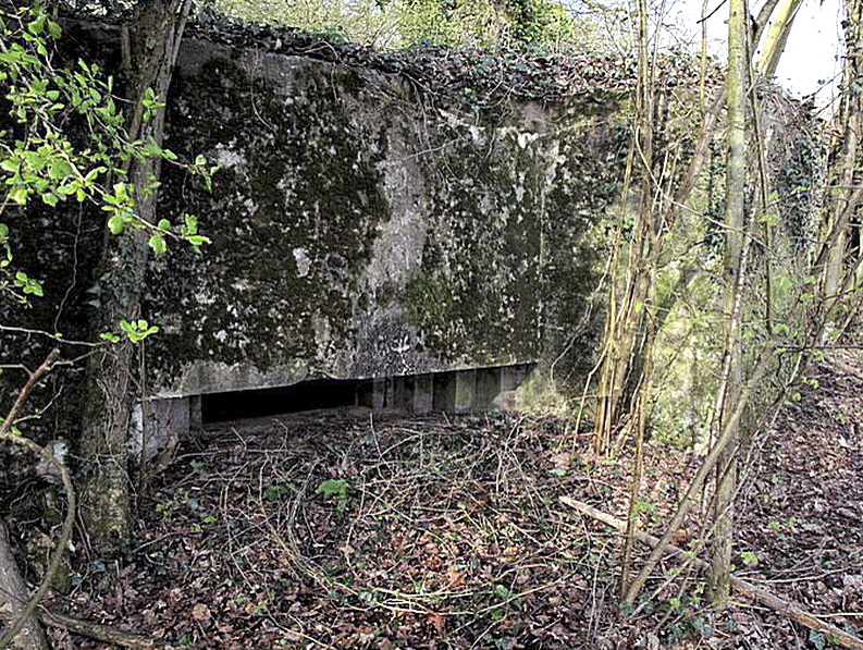 Ligne Maginot - DALEM EST - (Blockhaus pour canon) -  - Sylvie Laure LAMBERT