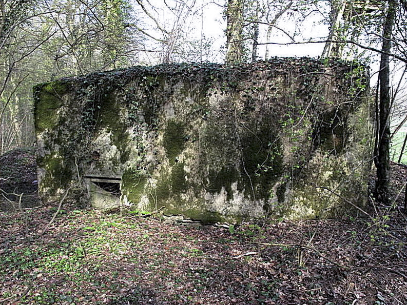 Ligne Maginot - DALEM EST - (Blockhaus pour canon) -  - Sylvie Laure LAMBERT