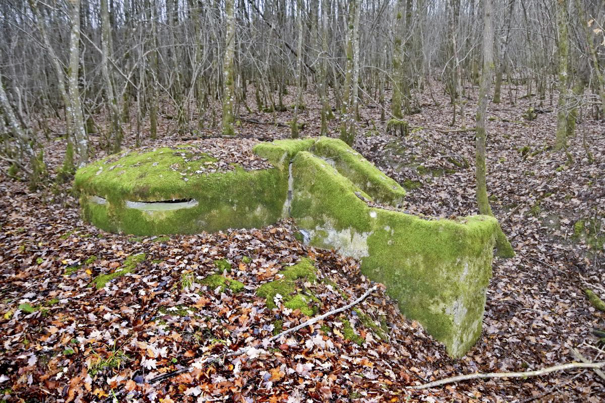 Ligne Maginot - CB434A - BOIS DE CATTENOM 08 - (Observatoire d'infanterie) - Observatoire construit à partir d'un 'escargot' allemand d'avant la première guerre mondiale - D.Froehly
