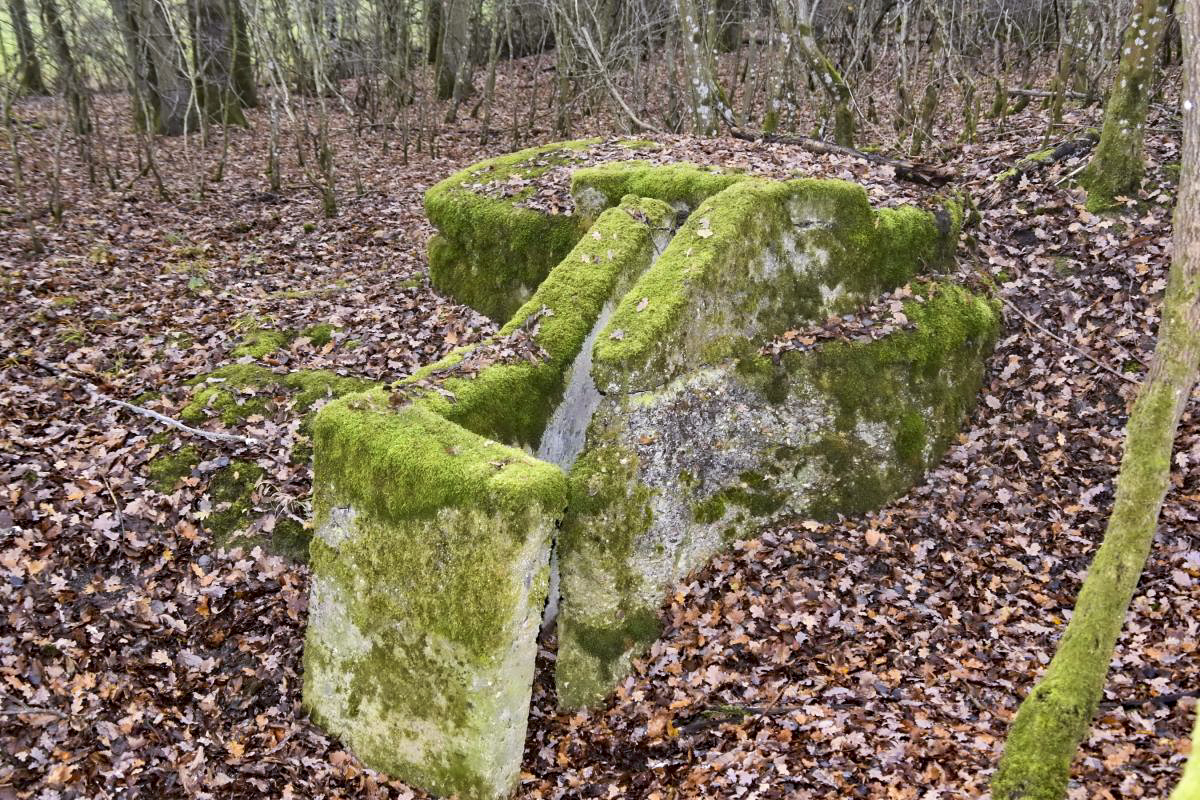 Ligne Maginot - CB434A - BOIS DE CATTENOM 08 - (Observatoire d'infanterie) - Observatoire construit à partir d'un 'escargot' allemand d'avant la première guerre mondiale - D.Froehly
