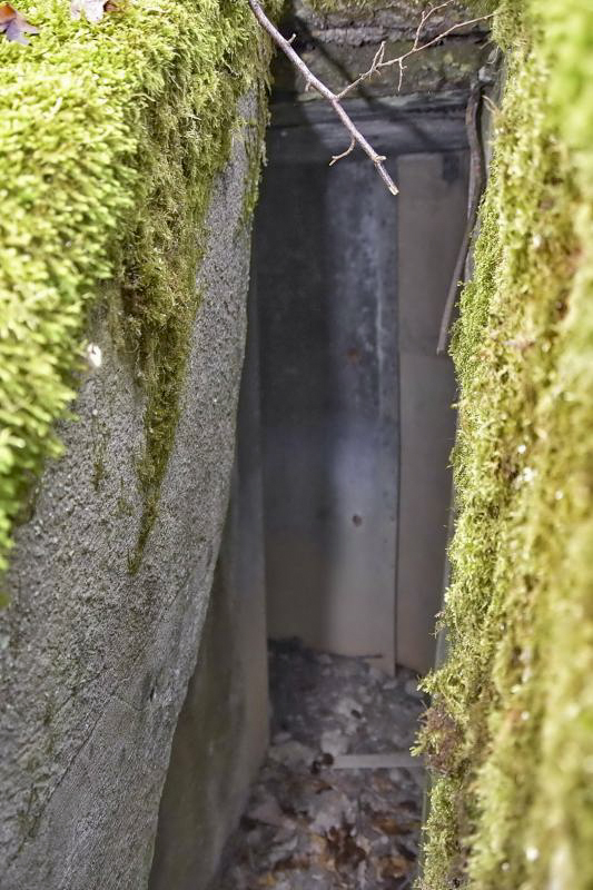 Ligne Maginot - CB434A - BOIS DE CATTENOM 08 - (Observatoire d'infanterie) - Observatoire construit à partir d'un 'escargot' allemand d'avant la première guerre mondiale - D.Froehly