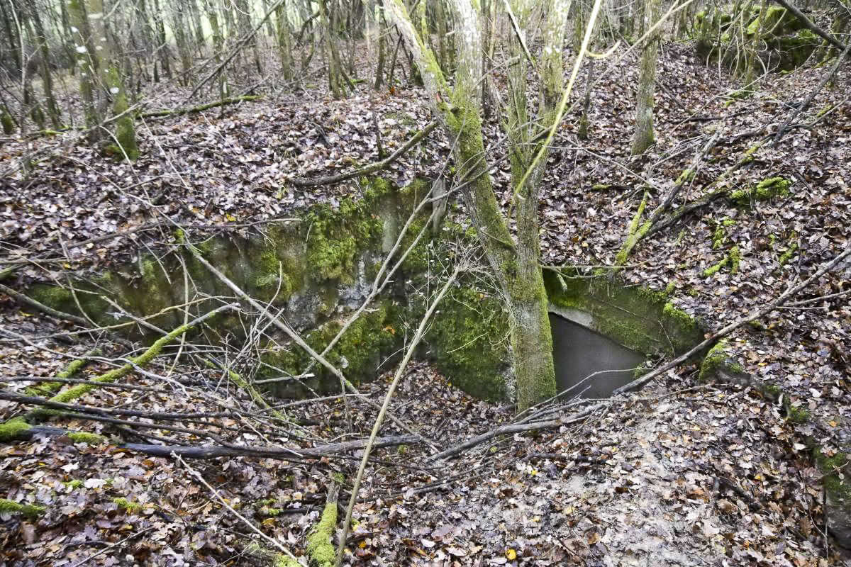 Ligne Maginot - O44 - WEIHERGRABEN - (Observatoire d'artillerie) - Vue du dessus de l'entrée - D.Froehly