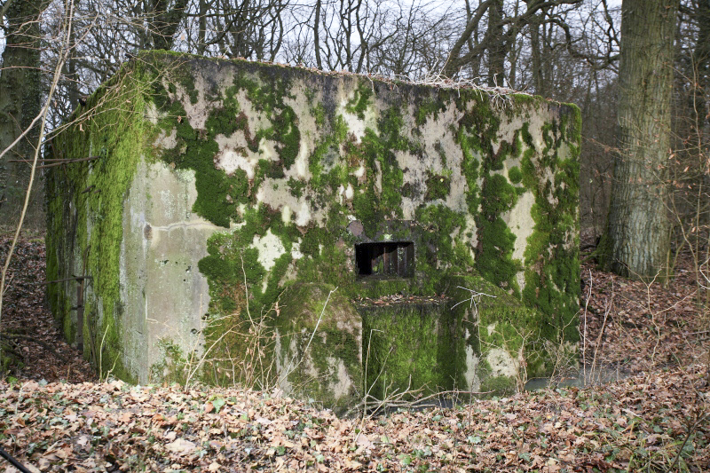 Ligne Maginot - CB171 - YELLE 01 - (Blockhaus pour arme infanterie) - Vue générale du blockhaus. - www.arnaultjl-photo.com
