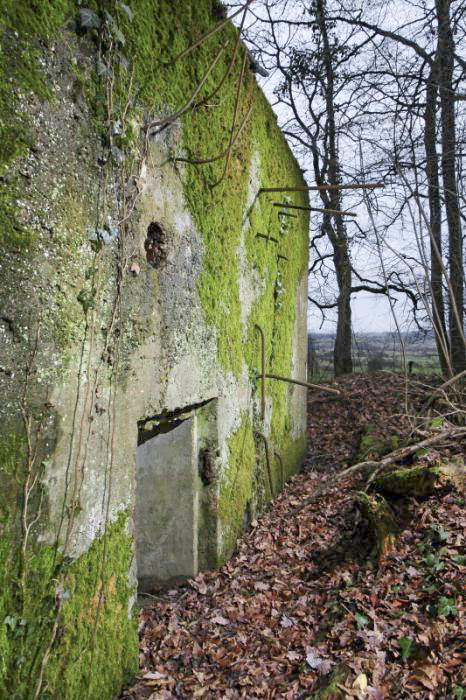 Ligne Maginot - CB171 - YELLE 01 - (Blockhaus pour arme infanterie) - Le blockhaus n’était vraisemblablement pas totalement achevé en 1940, comme en témoignent les fers à béton non coupés. - www.arnaultjl-photo.com