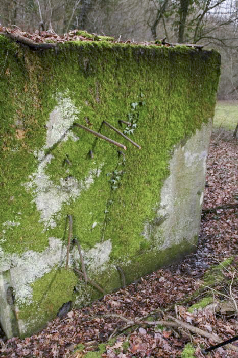 Ligne Maginot - CB171 - YELLE 01 - (Blockhaus pour arme infanterie) - Fers à béton non coupés. Ils sont nombreux à en être ainsi sur toute la structure du blockhaus. - www.arnaultjl-photo.com