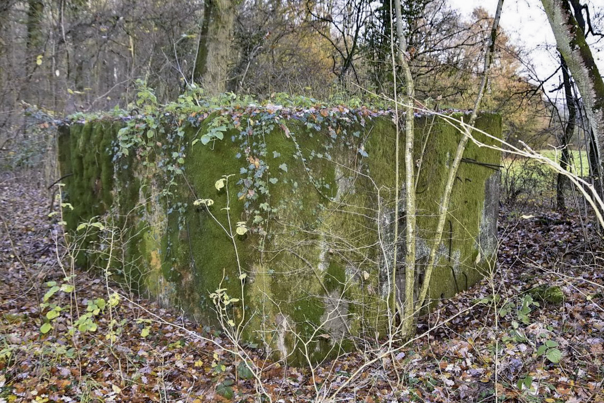 Ligne Maginot - CB171 - YELLE 01 - (Blockhaus pour arme infanterie) - Façade de l'entrée - D.Froehly
