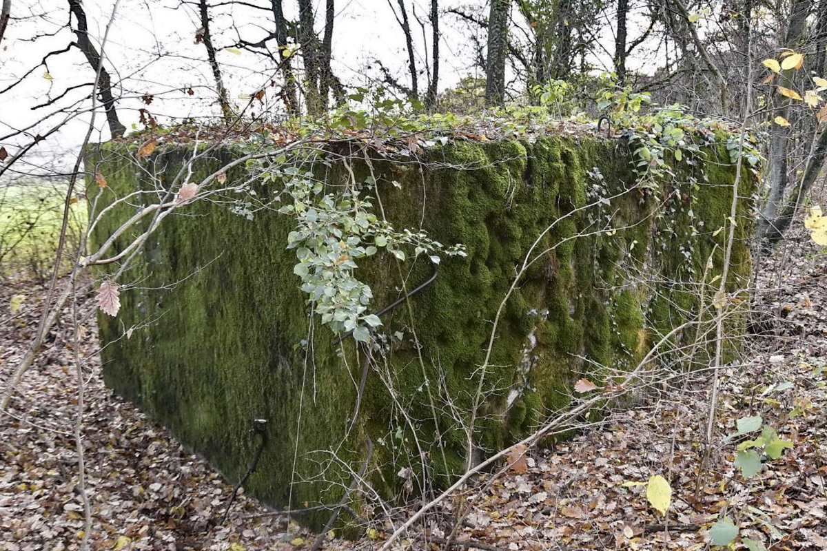 Ligne Maginot - CB171 - YELLE 01 - (Blockhaus pour arme infanterie) - Façade arrière - D.Froehly
