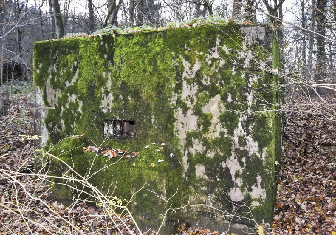 Ligne Maginot - CB171 - YELLE 01 - (Blockhaus pour arme infanterie) - Façade avant avec créneau de tir - D.Froehly