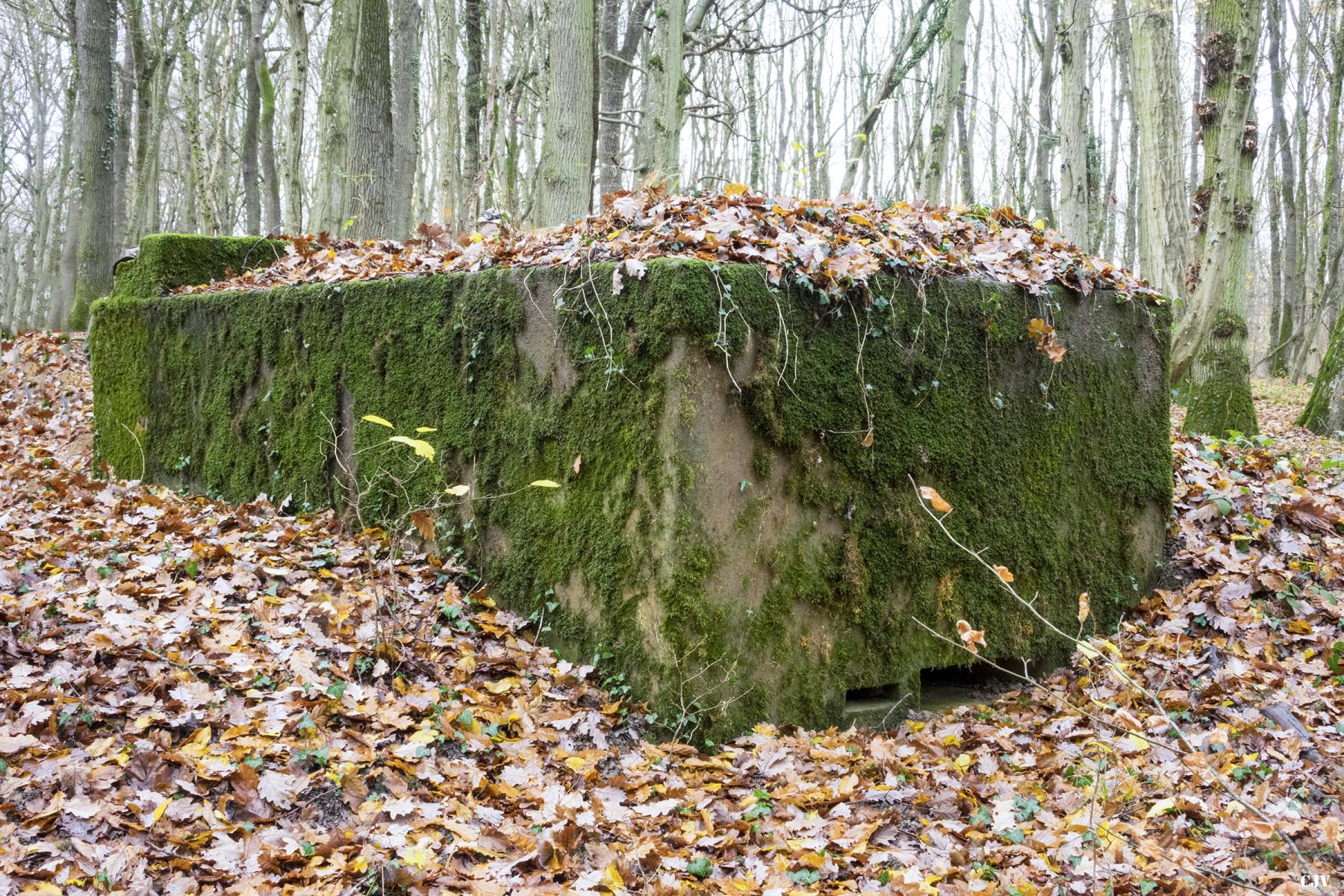Ligne Maginot - CB117-C - OBERHEIDE 03 - (Blockhaus pour arme infanterie) -  - Lia VERMEULEN