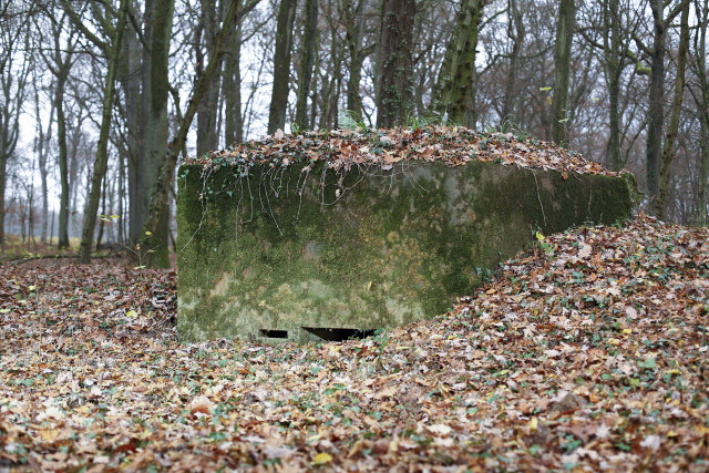 Ligne Maginot - CB117-C - OBERHEIDE 03 - (Blockhaus pour arme infanterie) -  - www.arnaultjl-photo.com
