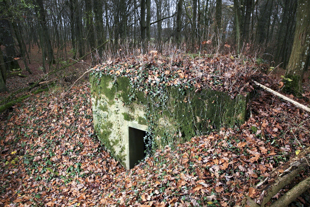 Ligne Maginot - CB119-C - OBERHEIDE 01 - (Blockhaus pour arme infanterie) -  - www.arnaultjl-photo.com