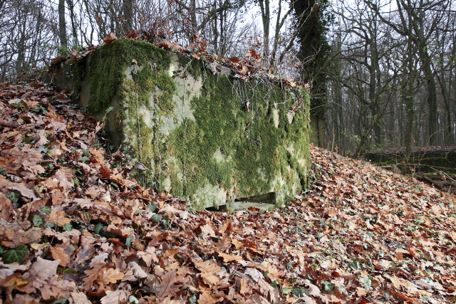 Ligne Maginot - CB119-C - OBERHEIDE 01 - (Blockhaus pour arme infanterie) -  - www.arnaultjl-photo.com
