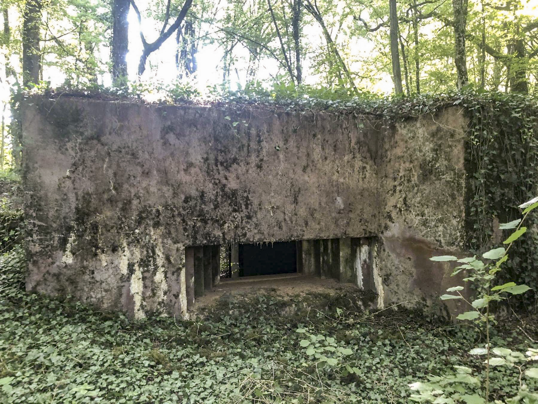 Ligne Maginot - CB118-C - OBERHEIDE 02 - (Blockhaus pour canon) - Le blockhaus vu de face - L.Zenner