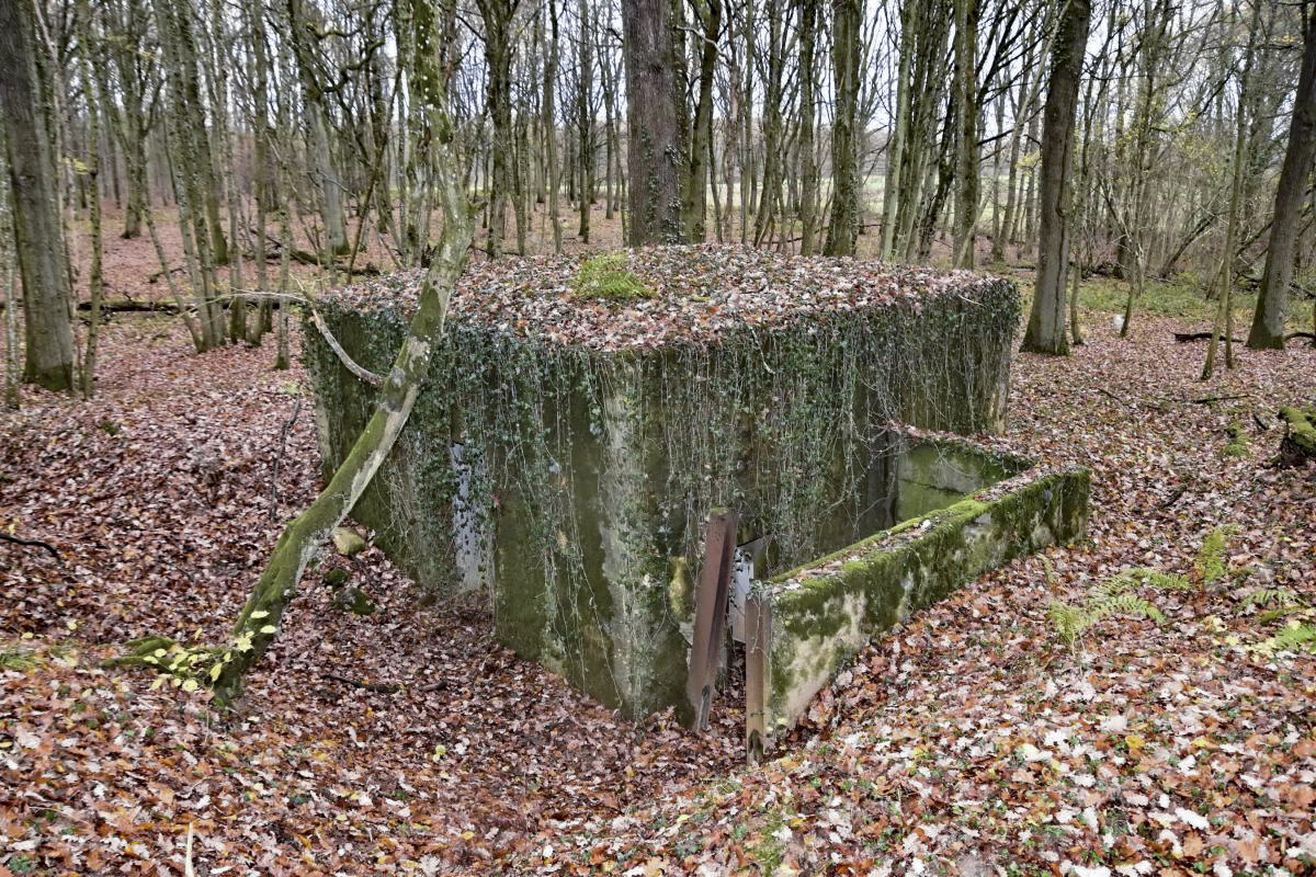 Ligne Maginot - CB118-C - OBERHEIDE 02 - (Blockhaus pour canon) - Vue d'ensemble sur la façade de l'entrée. - D.Froehly