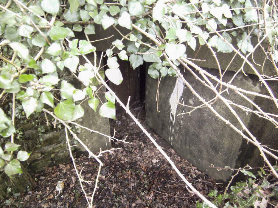 Ligne Maginot - Blockhaus Bb12 - L'entrée - GLÜCKSJÄGER GJ13