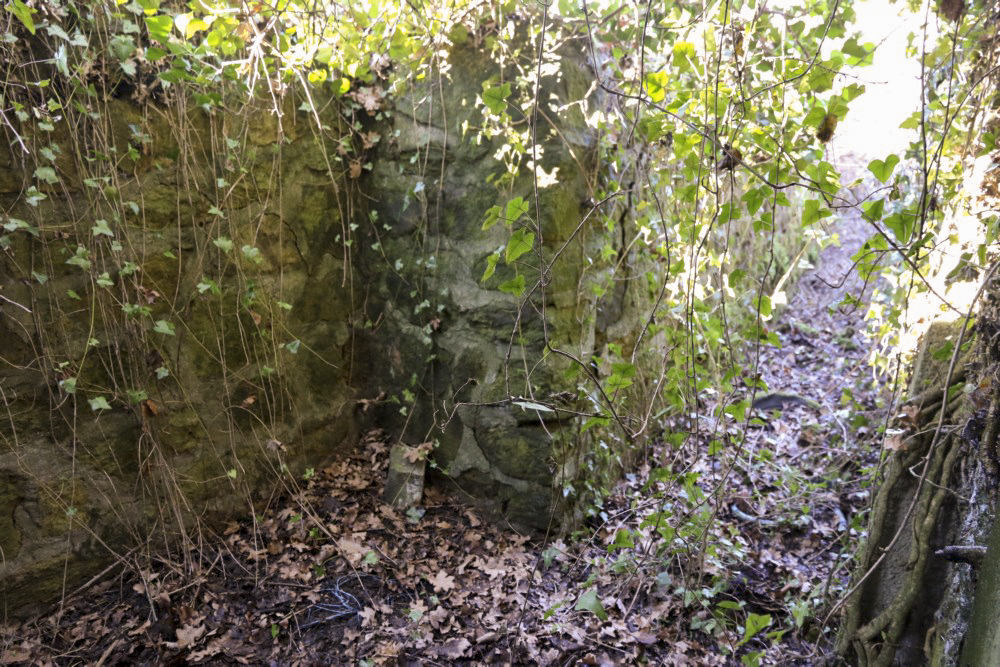 Ligne Maginot - BB12 - KEMPLICH SUD - (Blockhaus pour canon) - Tranchée d’accès                - Alain Perouffe