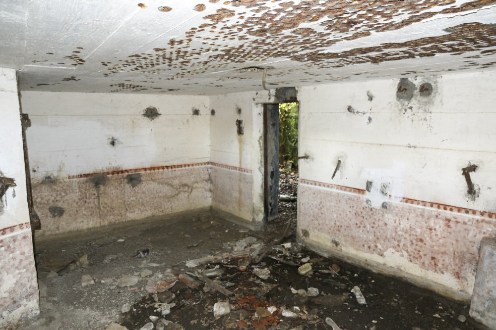 Ligne Maginot - BB12 - KEMPLICH SUD - (Blockhaus pour canon) -                     - Alain Perouffe