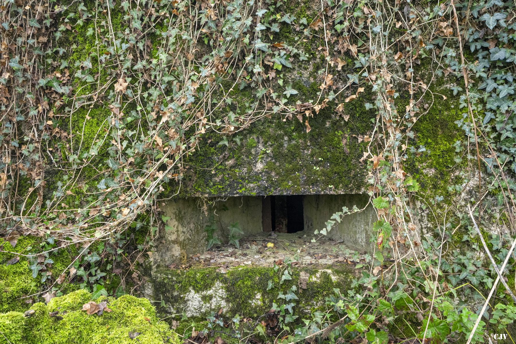 Ligne Maginot - BB12 - KEMPLICH SUD - (Blockhaus pour arme infanterie) -  - Lia VERMEULEN