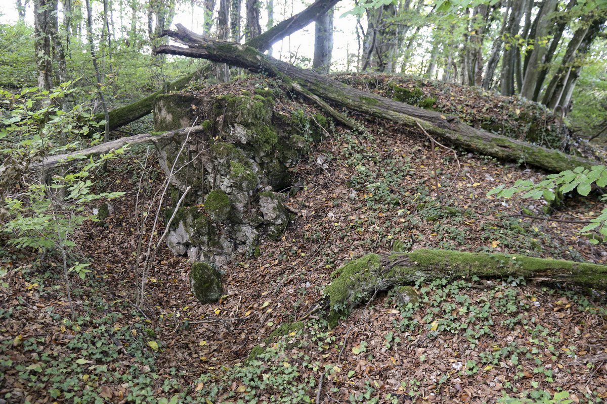 Ligne Maginot - BB308BIS - (Blockhaus pour arme infanterie) - Le bloc est partiellement détruit - Alain Perouffe