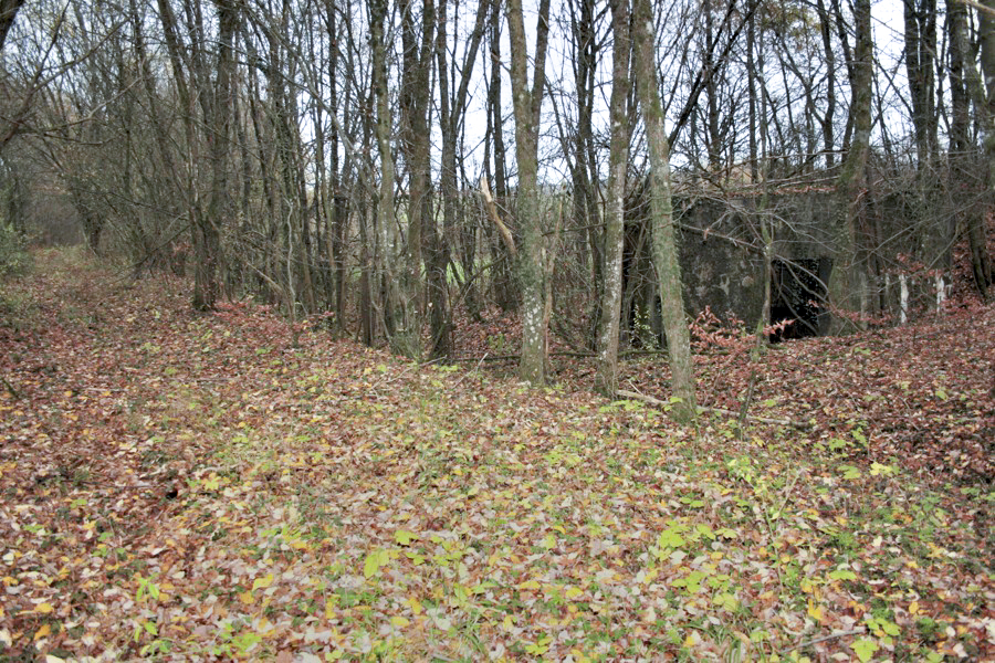 Ligne Maginot - BB339 - ROHRBUSCH - (Blockhaus pour canon) - A droite le blockhaus et à gauche la plate forme ferroviaire en direction de Dalstein - jpr