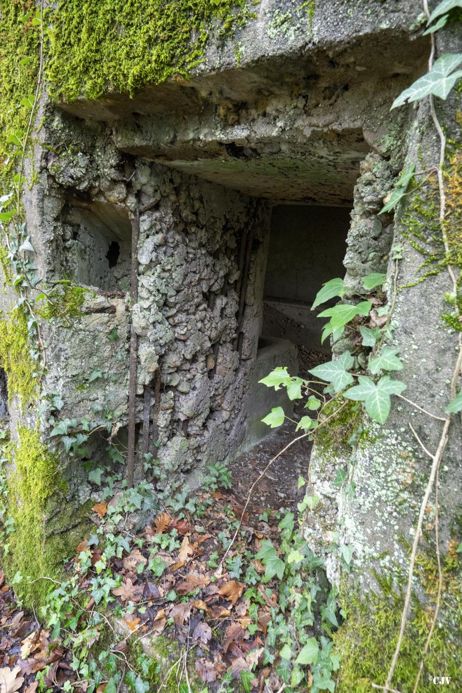 Ligne Maginot - BB339 - ROHRBUSCH - (Blockhaus pour canon) - L'entrée du personnel - Lia VERMEULEN