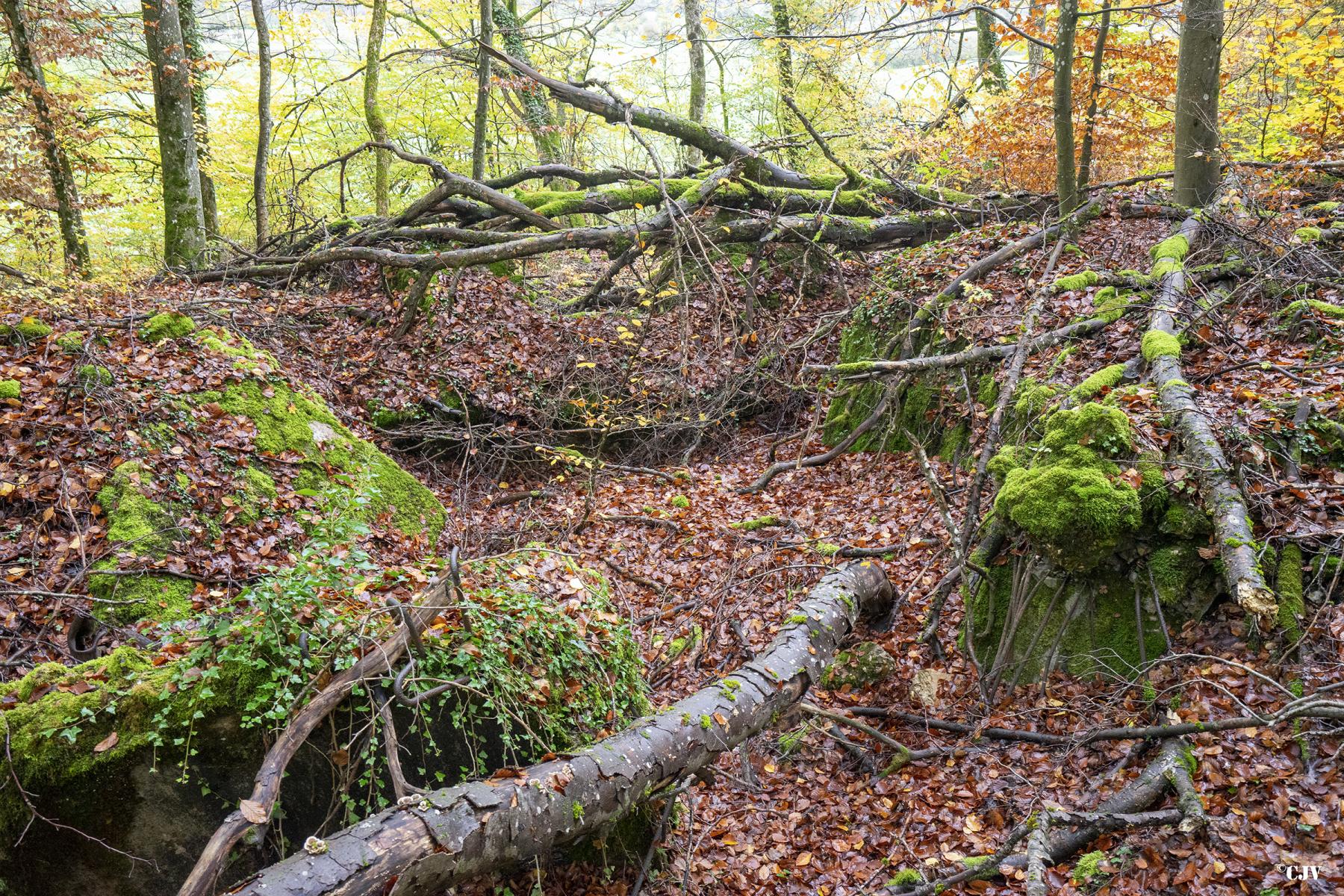 Ligne Maginot - BB358 - (Blockhaus pour canon) -  - Lia VERMEULEN