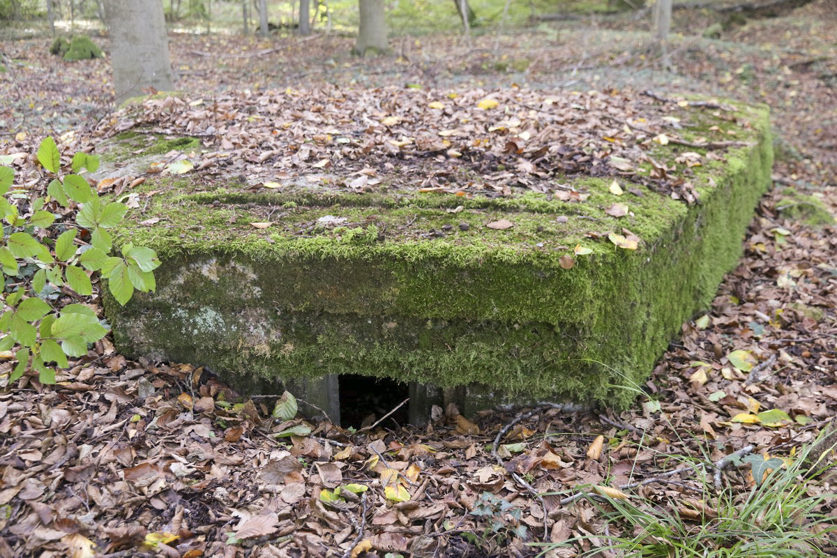 Ligne Maginot - SCHESSEL 1 - (Blockhaus pour arme infanterie) -  - Alain Perouffe