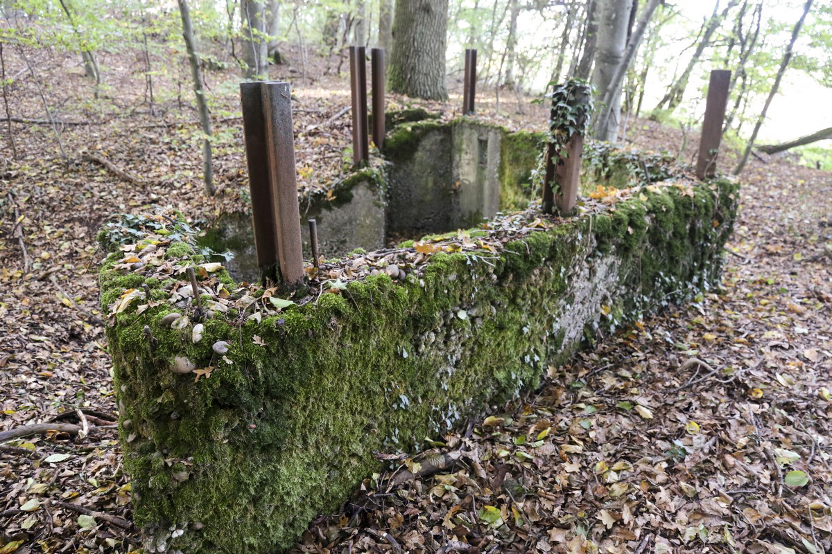 Ligne Maginot - SCHESSEL 2 - (Blockhaus pour arme infanterie) -  - Alain Perouffe