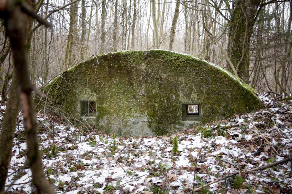 Ligne Maginot - BOIS DE COUME 3 - (Abri) -  - Fré Do