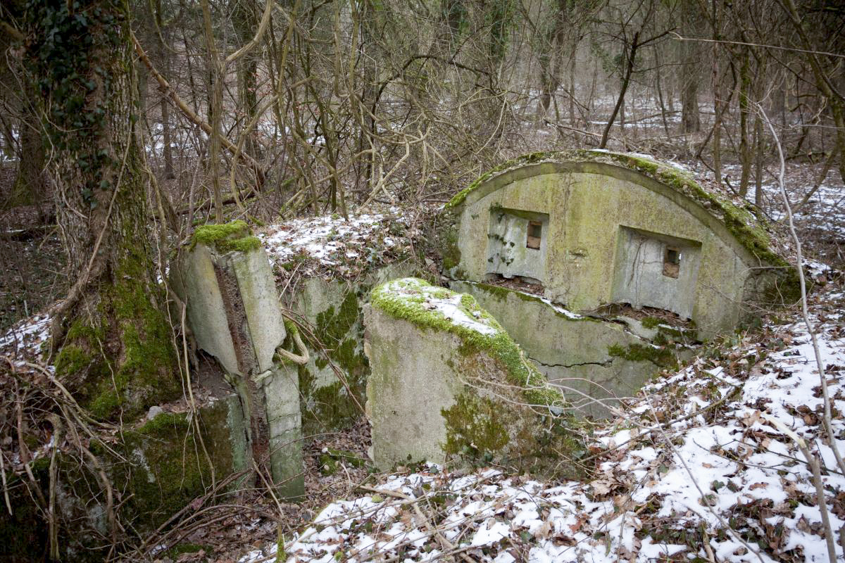 Ligne Maginot - BOIS DE COUME 3 - (Abri) -  - Fré Do